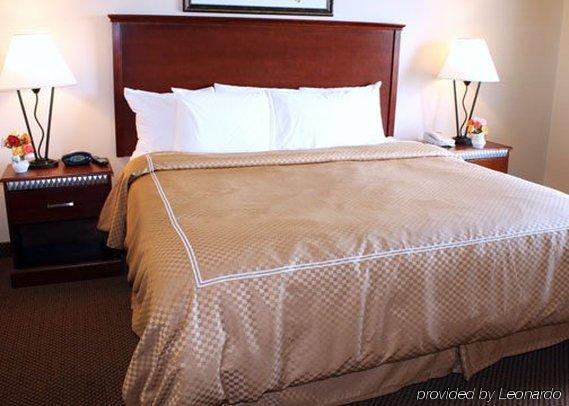 Comfort Suites Wixom Kamer foto